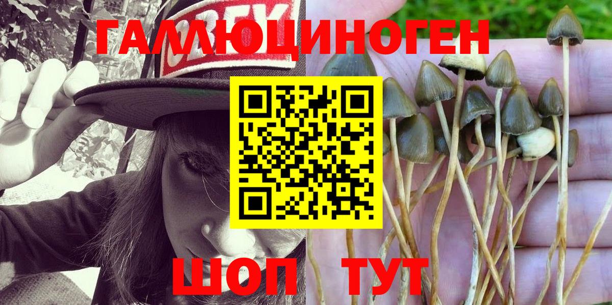 Серов  цены   Вход с VPN  Галлюциногенные грибы Psilocybine cubensis 